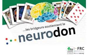 Neurodon